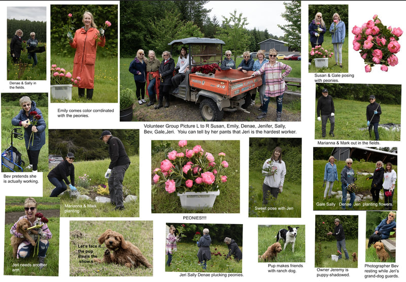 Cascade Republican Women's Club assisted a Flooded Riveranch farmer in Duval