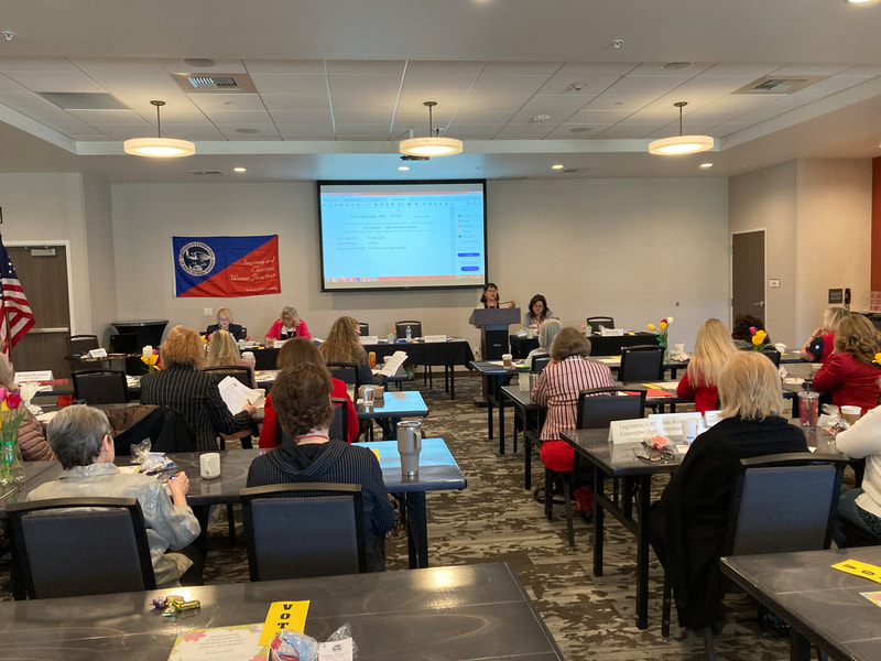 Sharon Hanek  spoke about the initiative process at the Spring 2022 BOD.