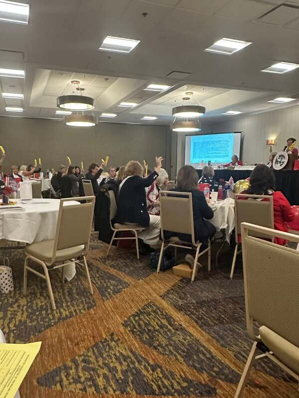 Voting during the Board of Directors' meeting.  